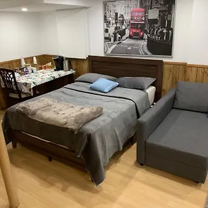 Big Oasis Near Airport Yyz Homestay